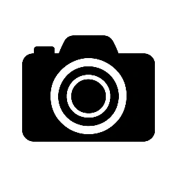 BitBloom Studios